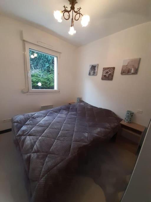 Balcons Du Appartement *